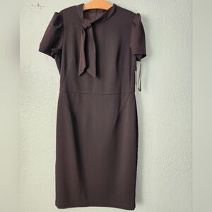 Maggy London Elegant Brown Midi Dress